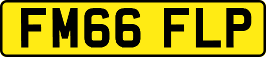 FM66FLP