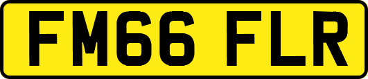 FM66FLR