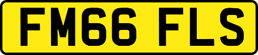 FM66FLS