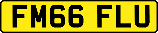 FM66FLU