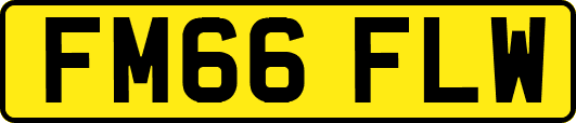 FM66FLW