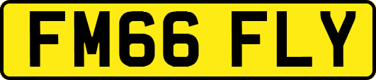 FM66FLY