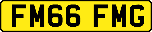 FM66FMG