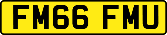 FM66FMU