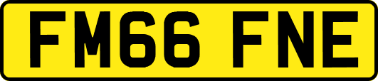 FM66FNE