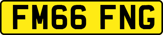 FM66FNG