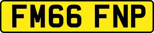 FM66FNP