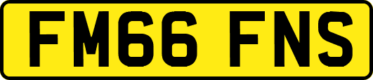 FM66FNS