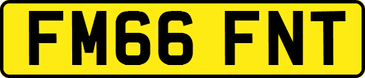 FM66FNT