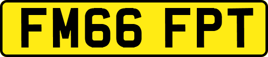 FM66FPT