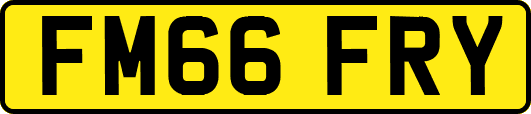 FM66FRY