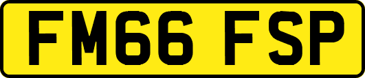 FM66FSP