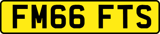 FM66FTS