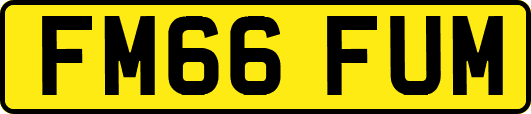 FM66FUM