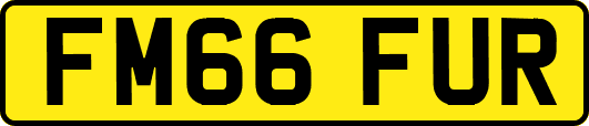 FM66FUR