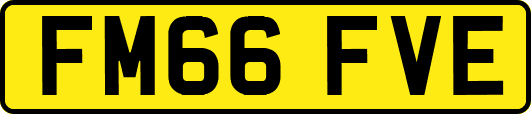 FM66FVE