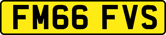 FM66FVS