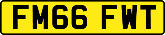 FM66FWT