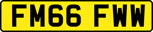 FM66FWW