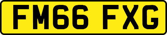 FM66FXG