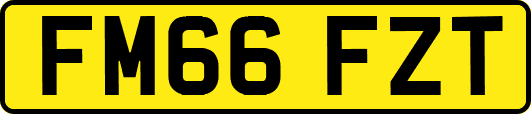 FM66FZT