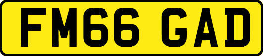 FM66GAD