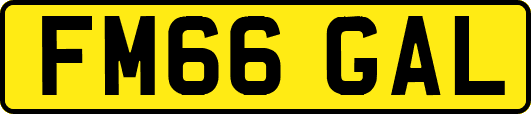 FM66GAL