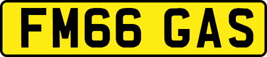 FM66GAS
