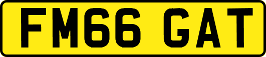 FM66GAT