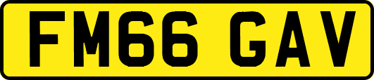 FM66GAV