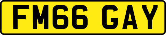 FM66GAY