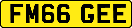 FM66GEE