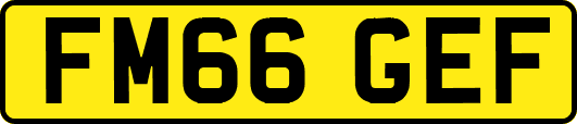 FM66GEF