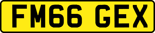FM66GEX