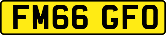 FM66GFO