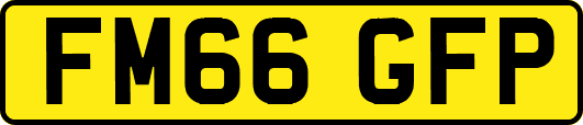 FM66GFP