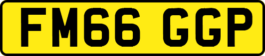 FM66GGP