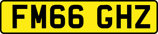 FM66GHZ