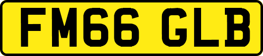 FM66GLB