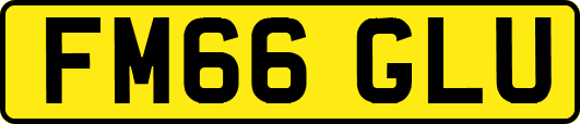 FM66GLU