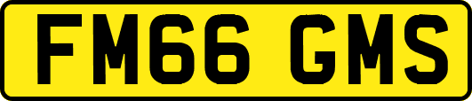 FM66GMS