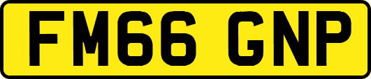 FM66GNP