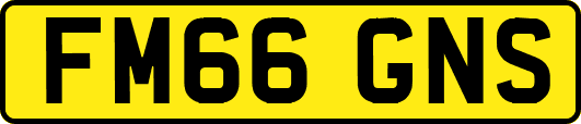 FM66GNS