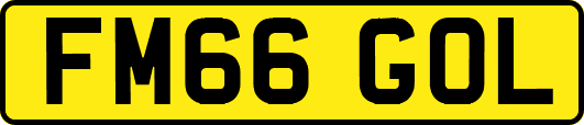 FM66GOL