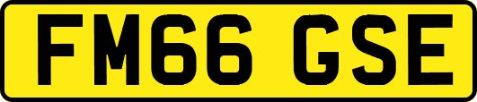 FM66GSE