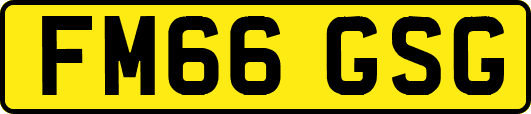 FM66GSG
