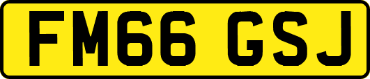 FM66GSJ