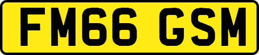 FM66GSM