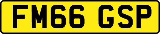 FM66GSP