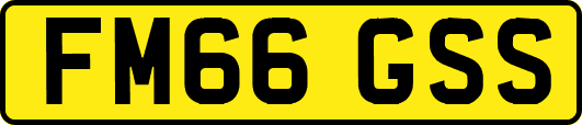 FM66GSS